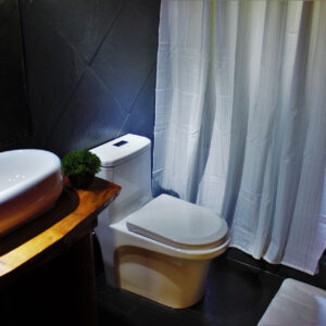 Interior_baño