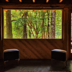 Interior_ventanal