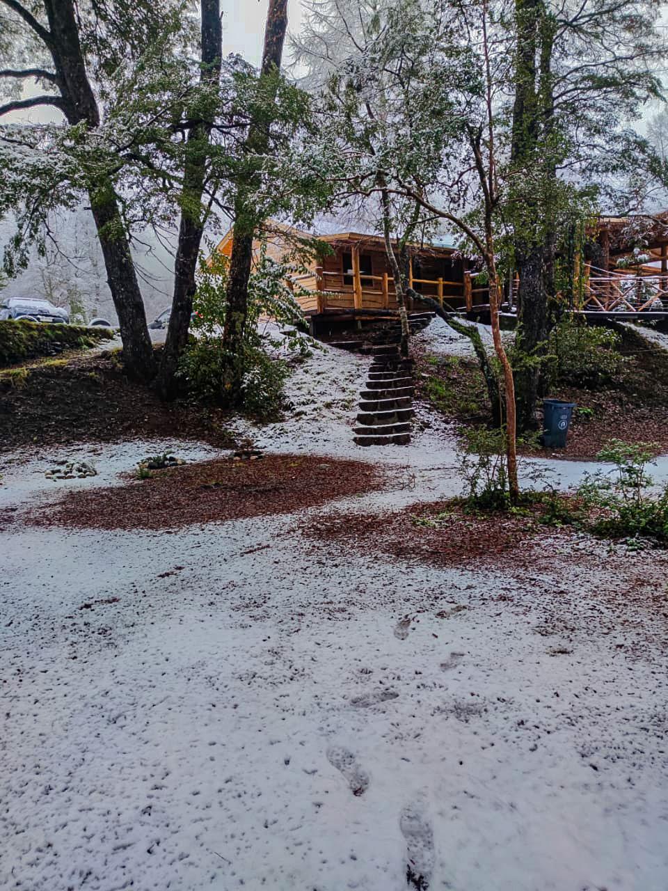 PHOTO-2022-07-20-18-46-58 4