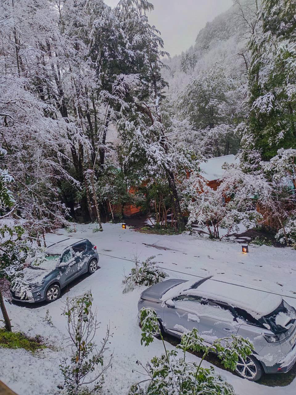 PHOTO-2022-07-20-18-46-59 3